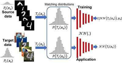 Direct domain adaptation through reciprocal linear transformations
